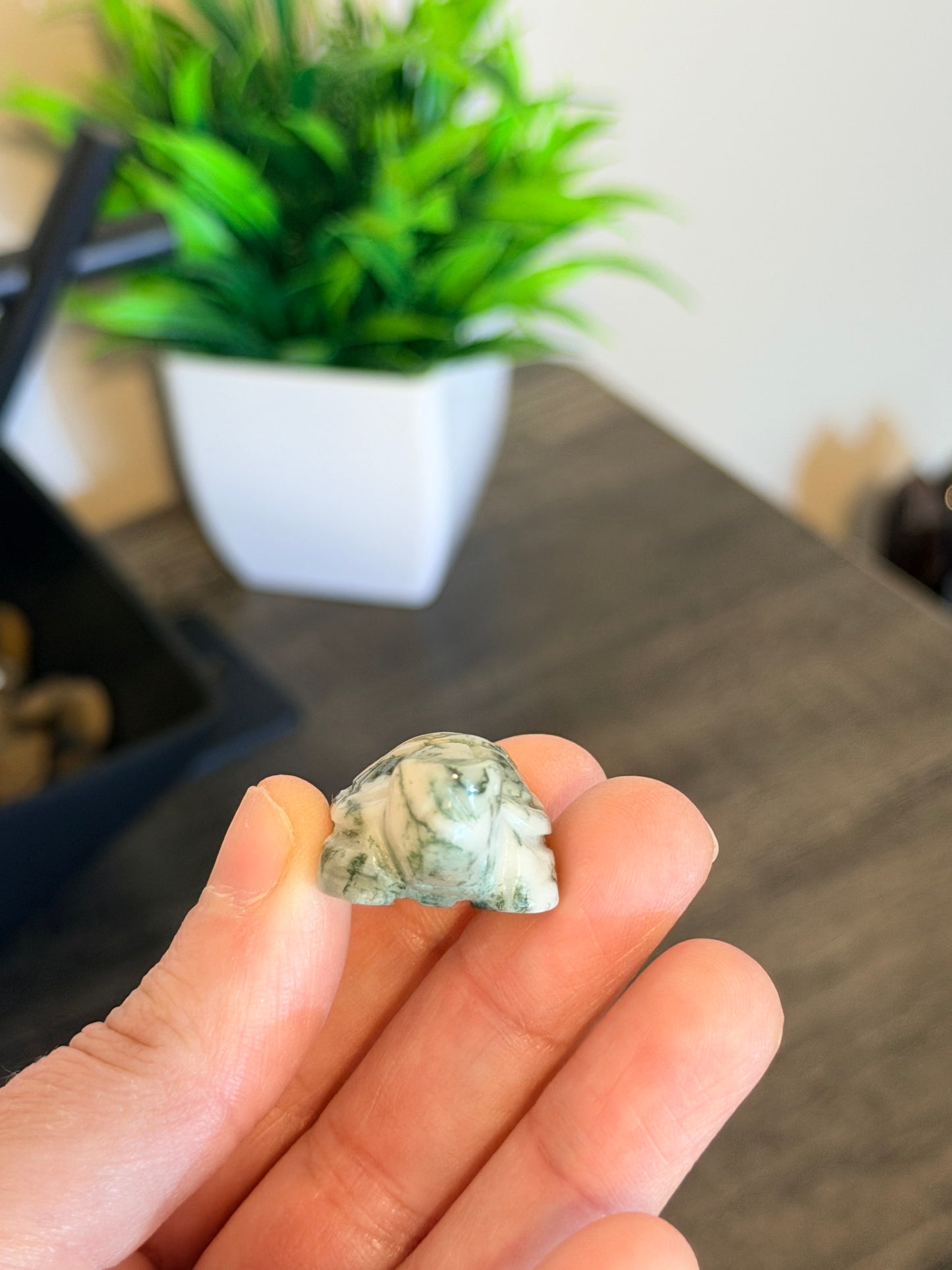 Small Moss Agate Turtle Style 1