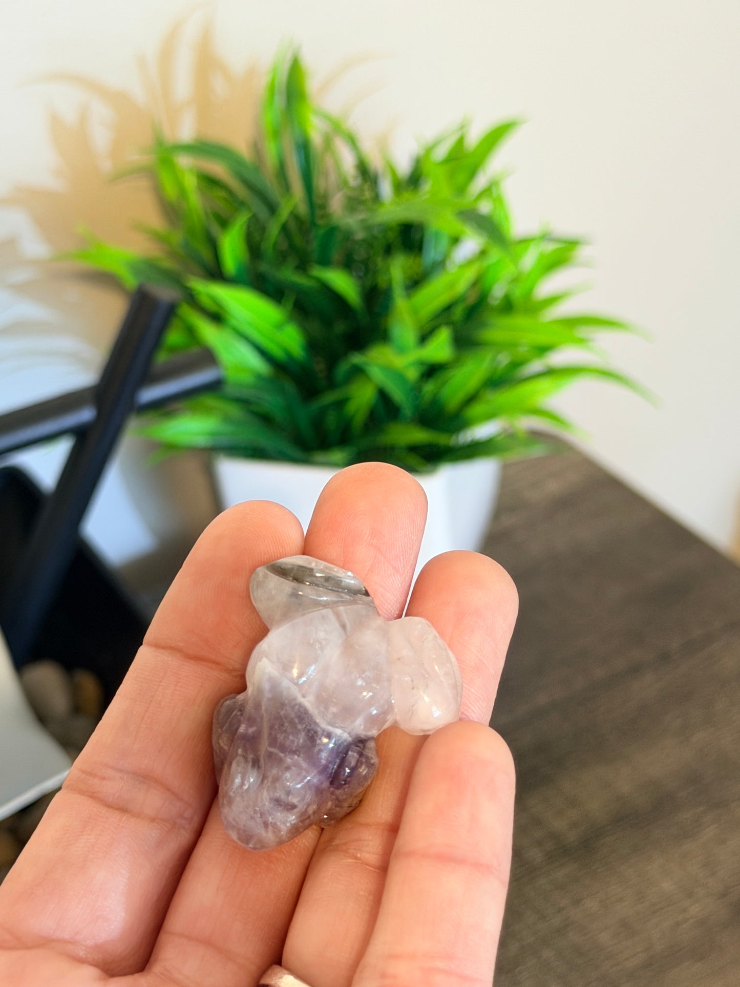 Amethyst Frog
