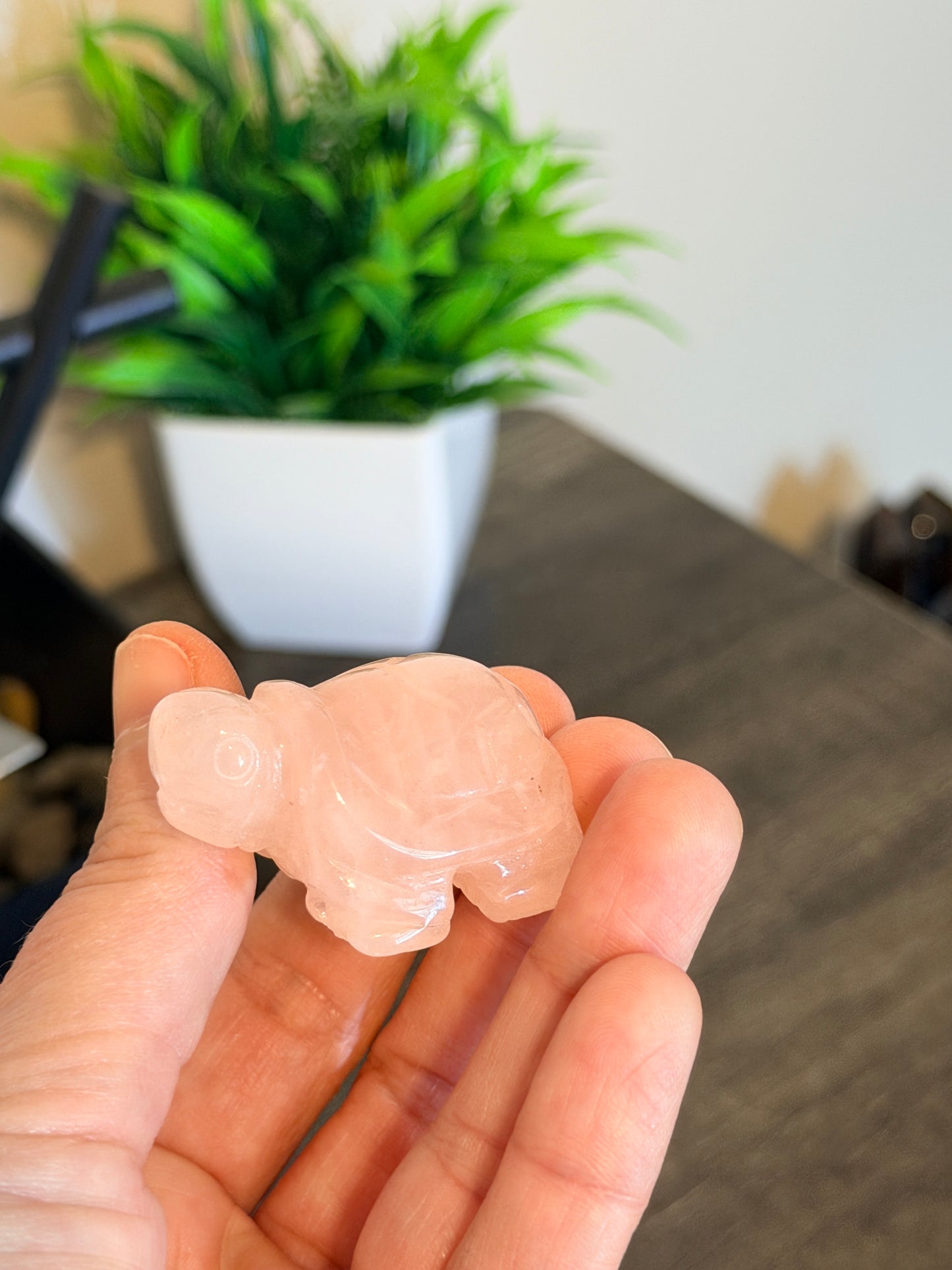 Rose Quartz Turtle Style 1
