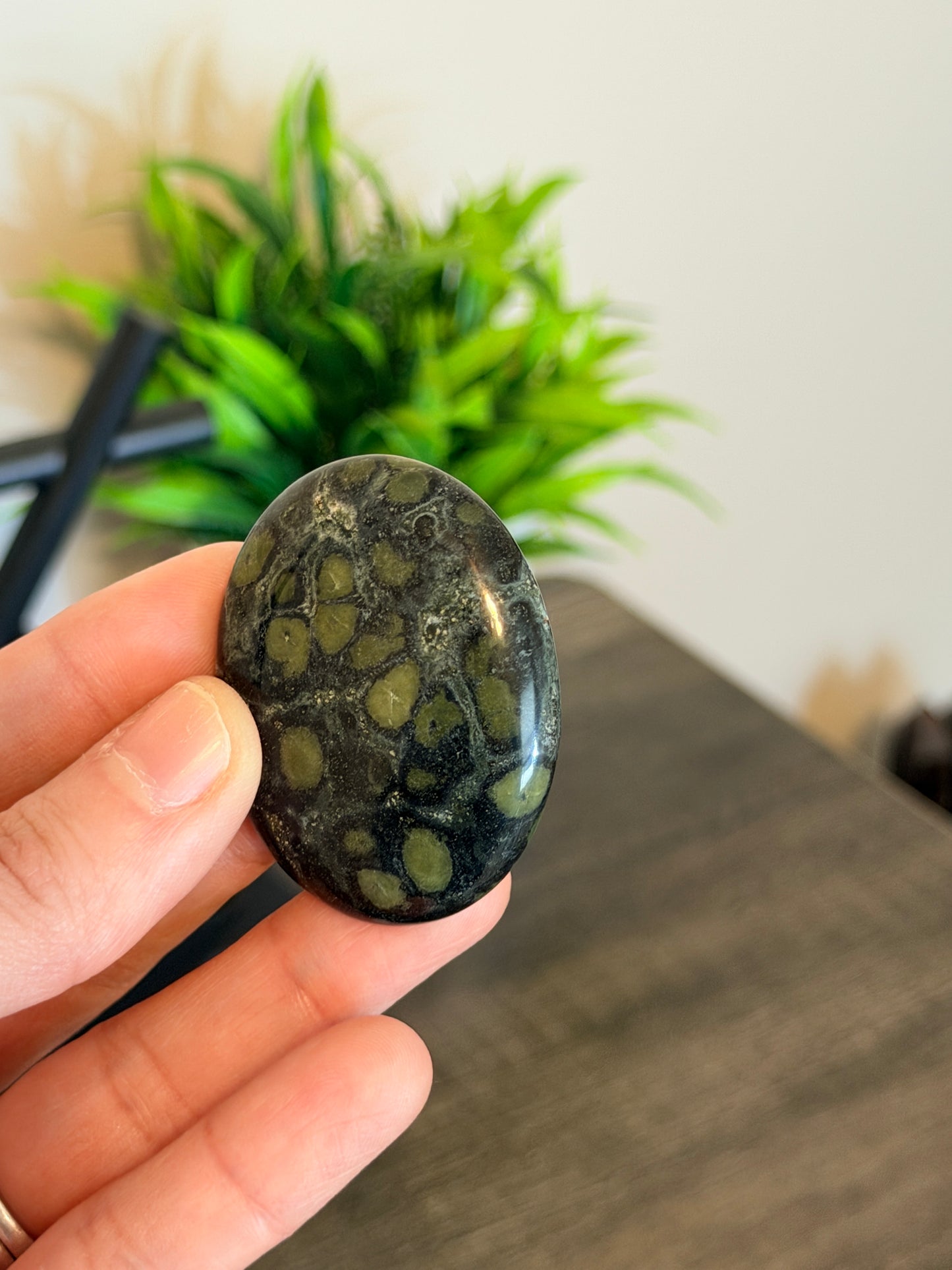 Kambaba Jasper Worry Stone