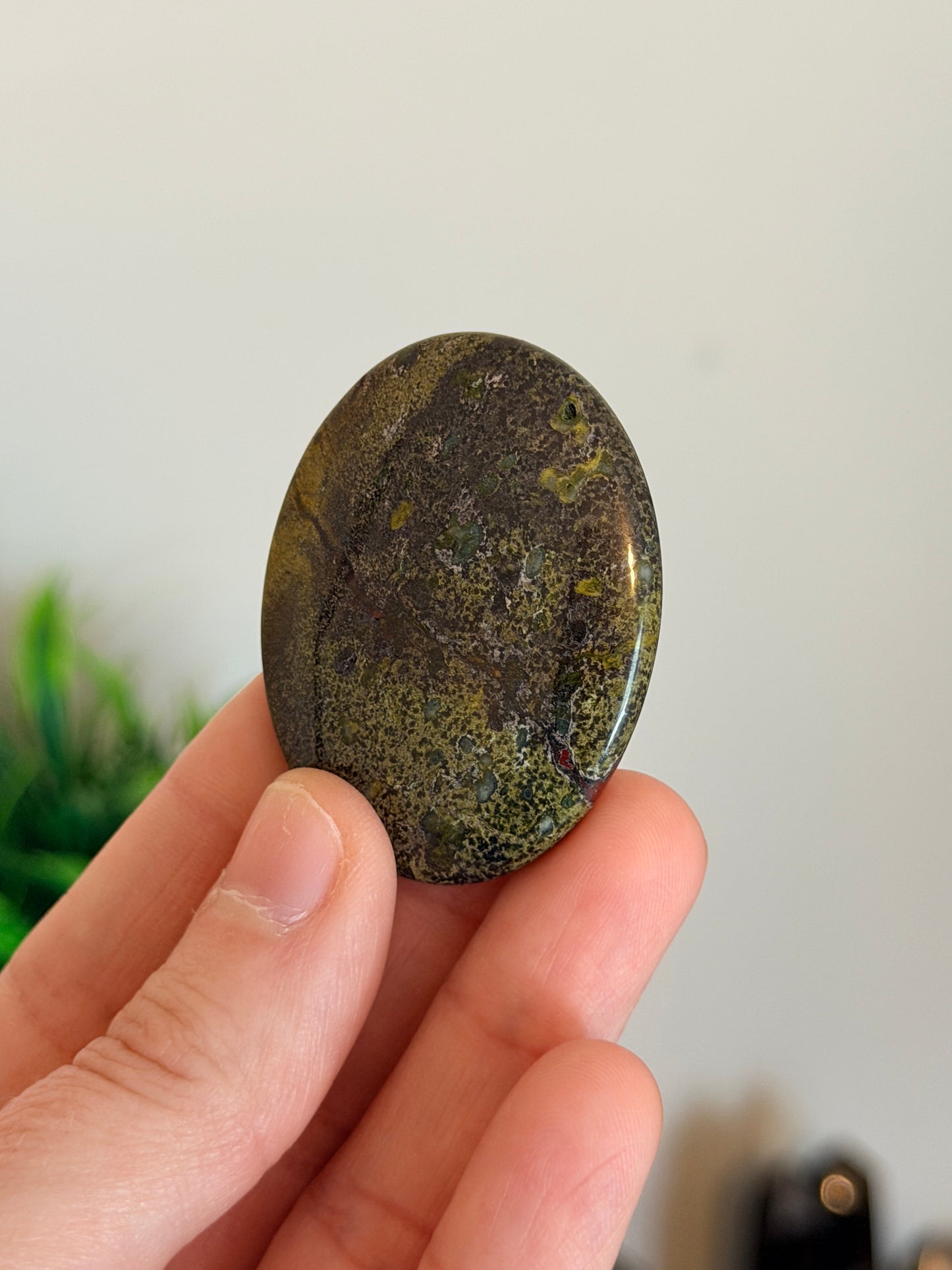 Rough Dragon's Bloodstone Worry Stone