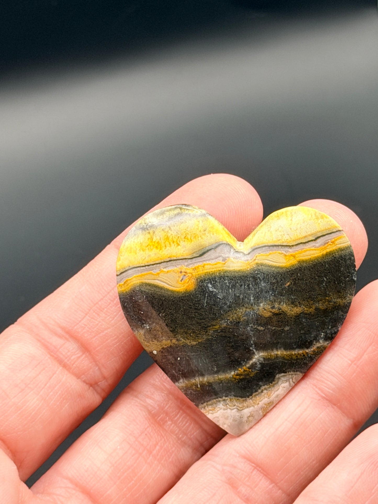 Bumble Bee Jasper Heart Style 2