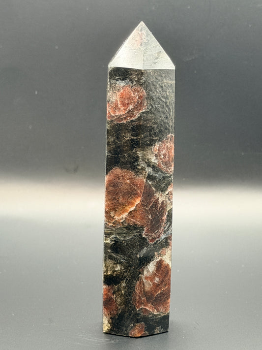Astrophyllite with Garnet Tower Style 4