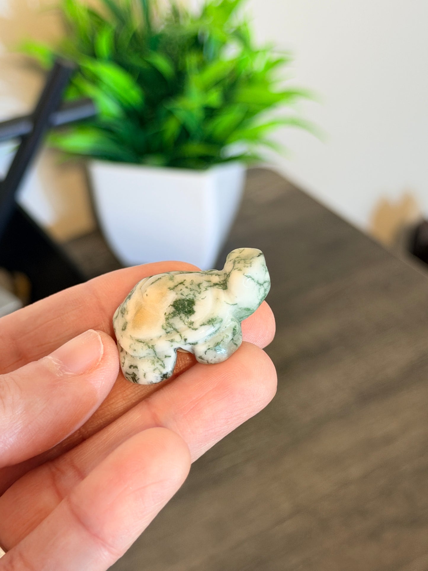 Small Moss Agate Turtle Style 1
