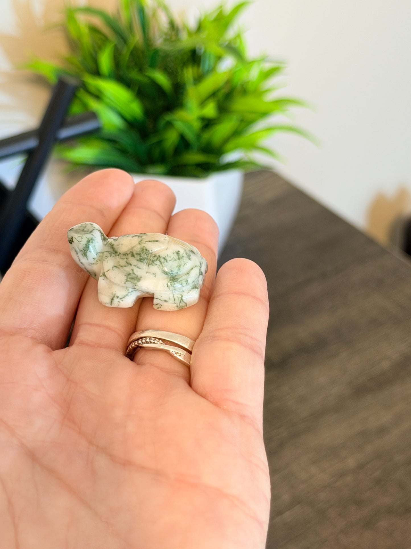 Small Moss Agate Turtle Style 1