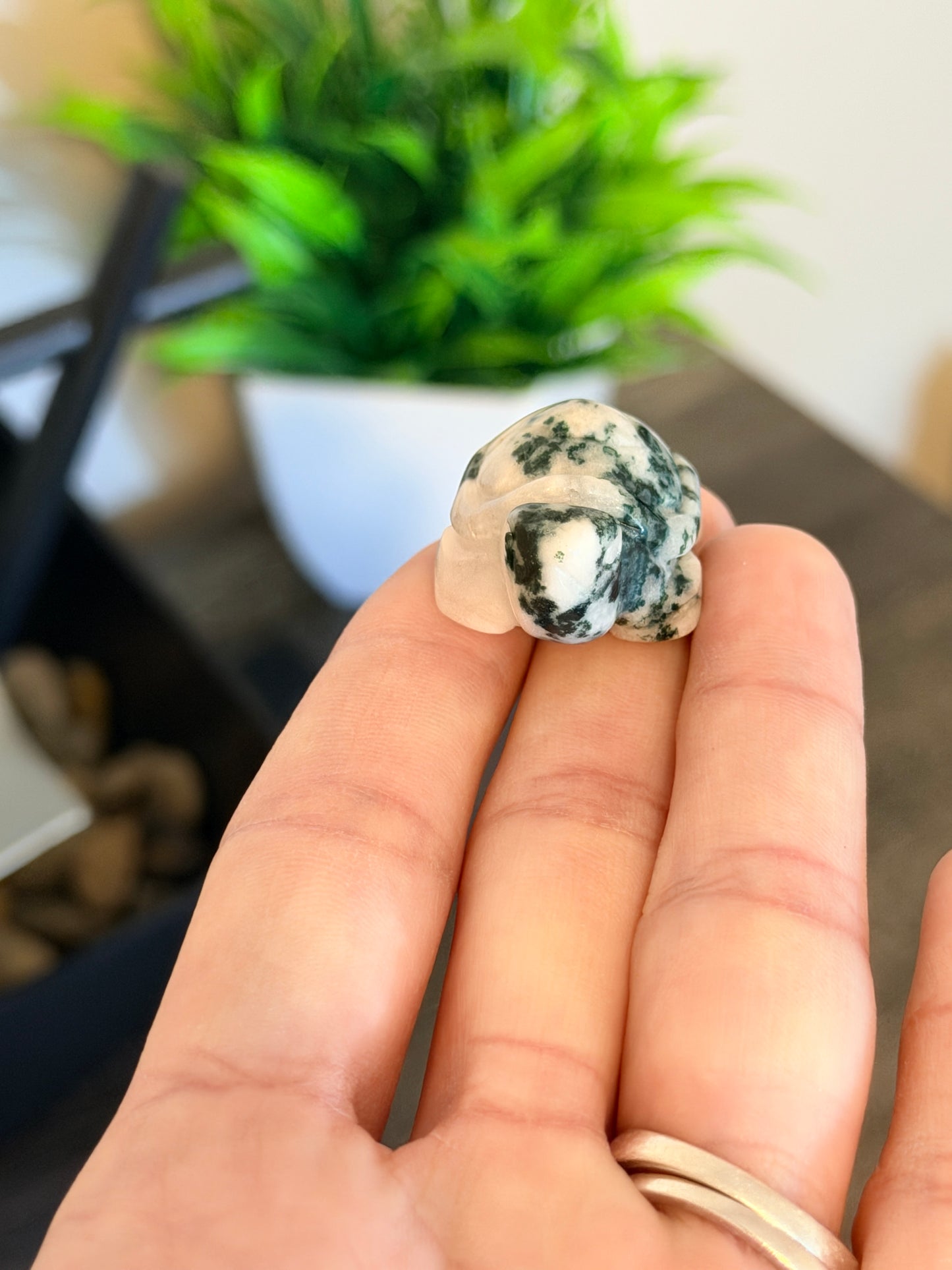 Small Moss Agate Turtle Style 2