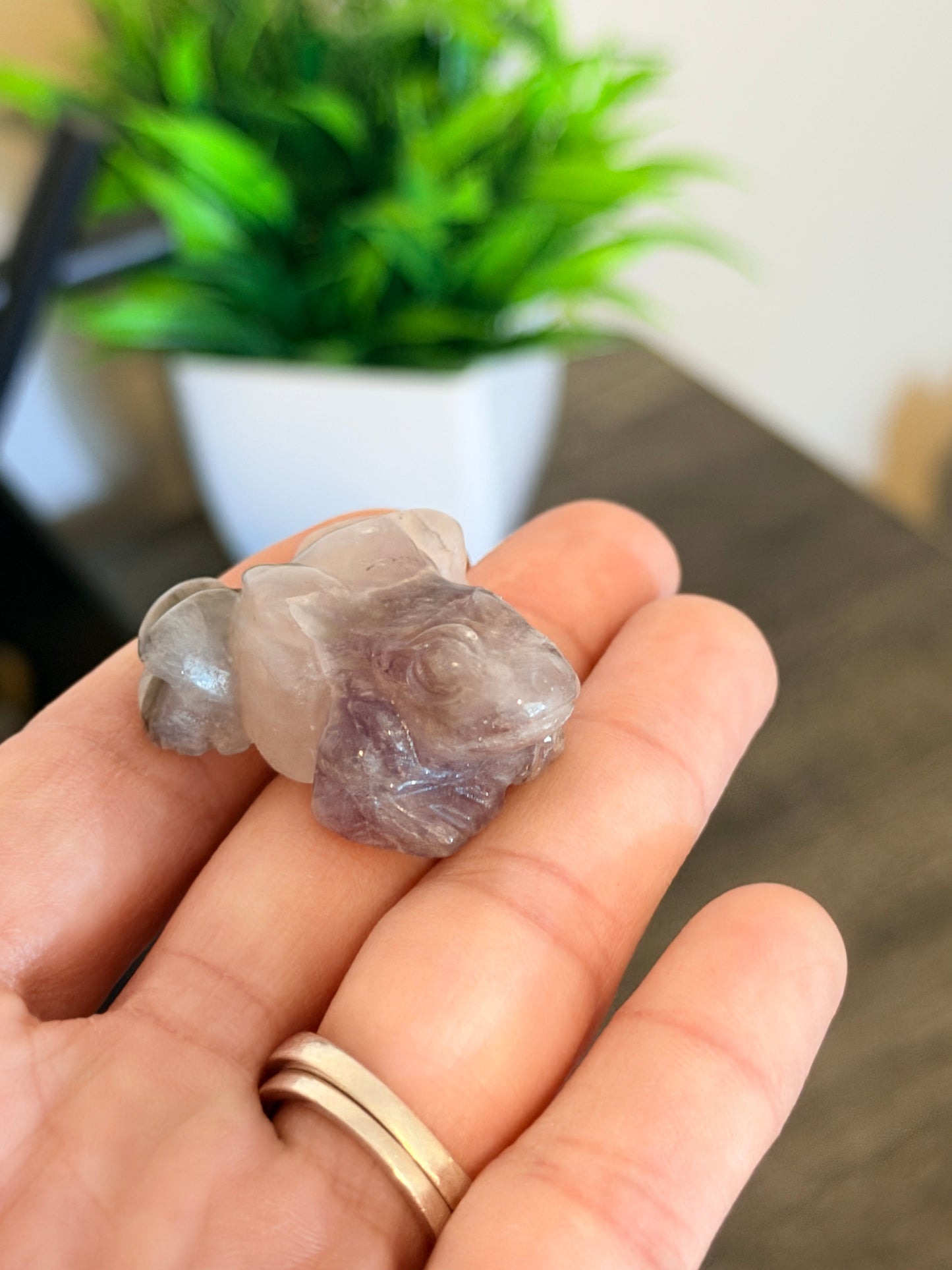Amethyst Frog