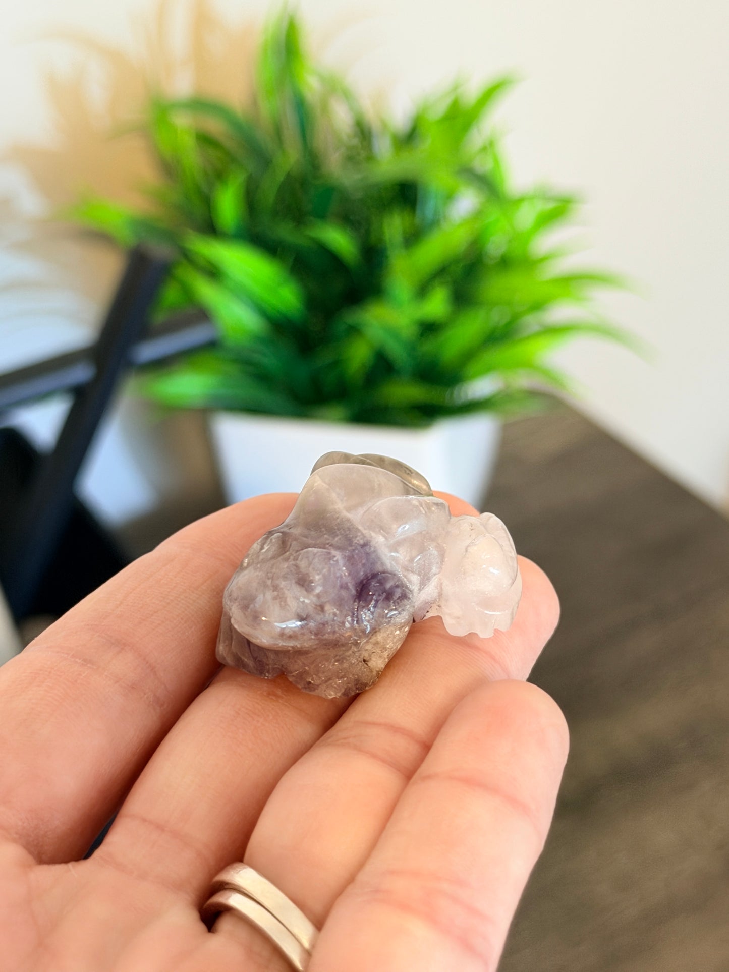 Amethyst Frog