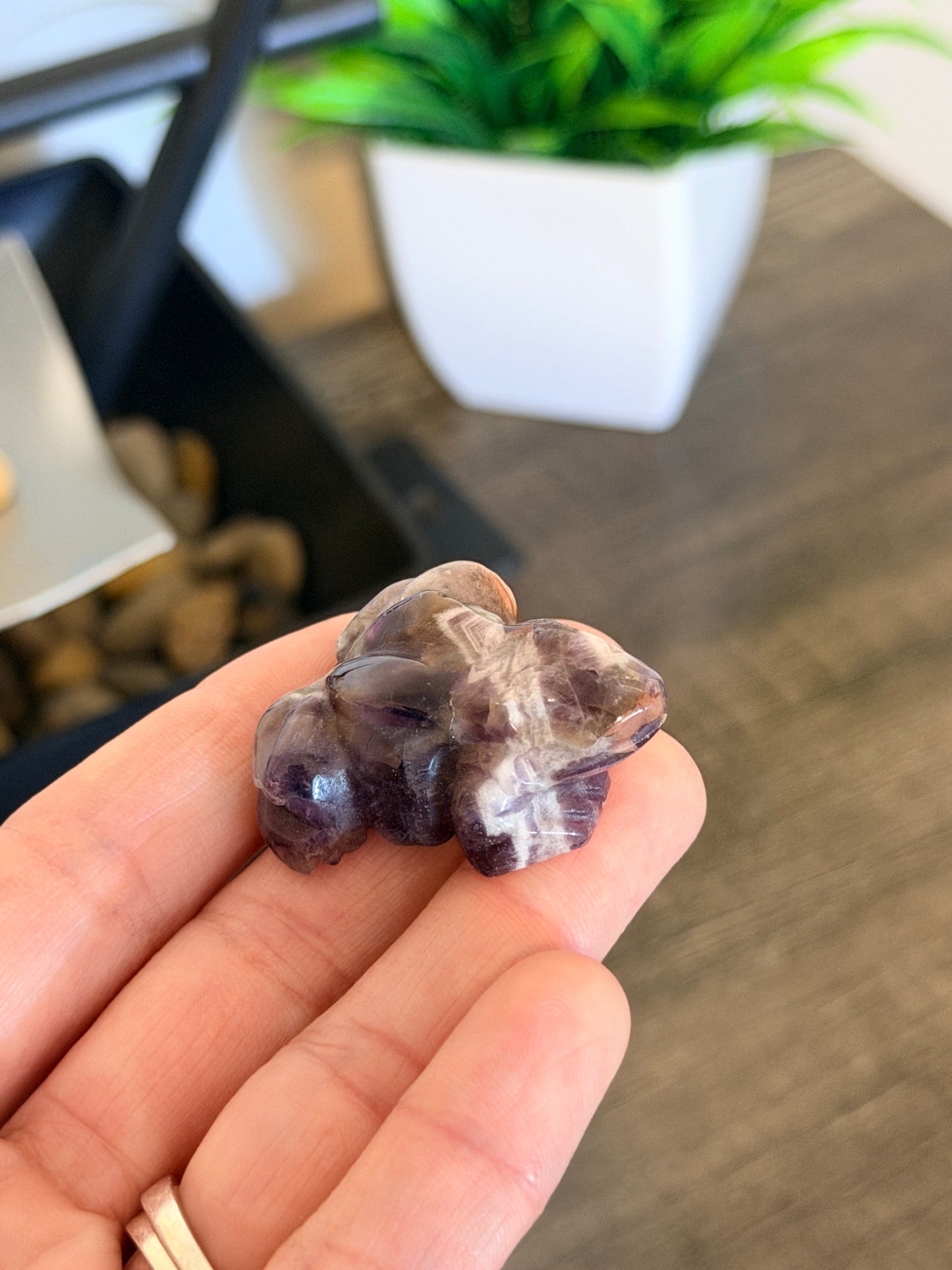 Chevron Amethyst Frog