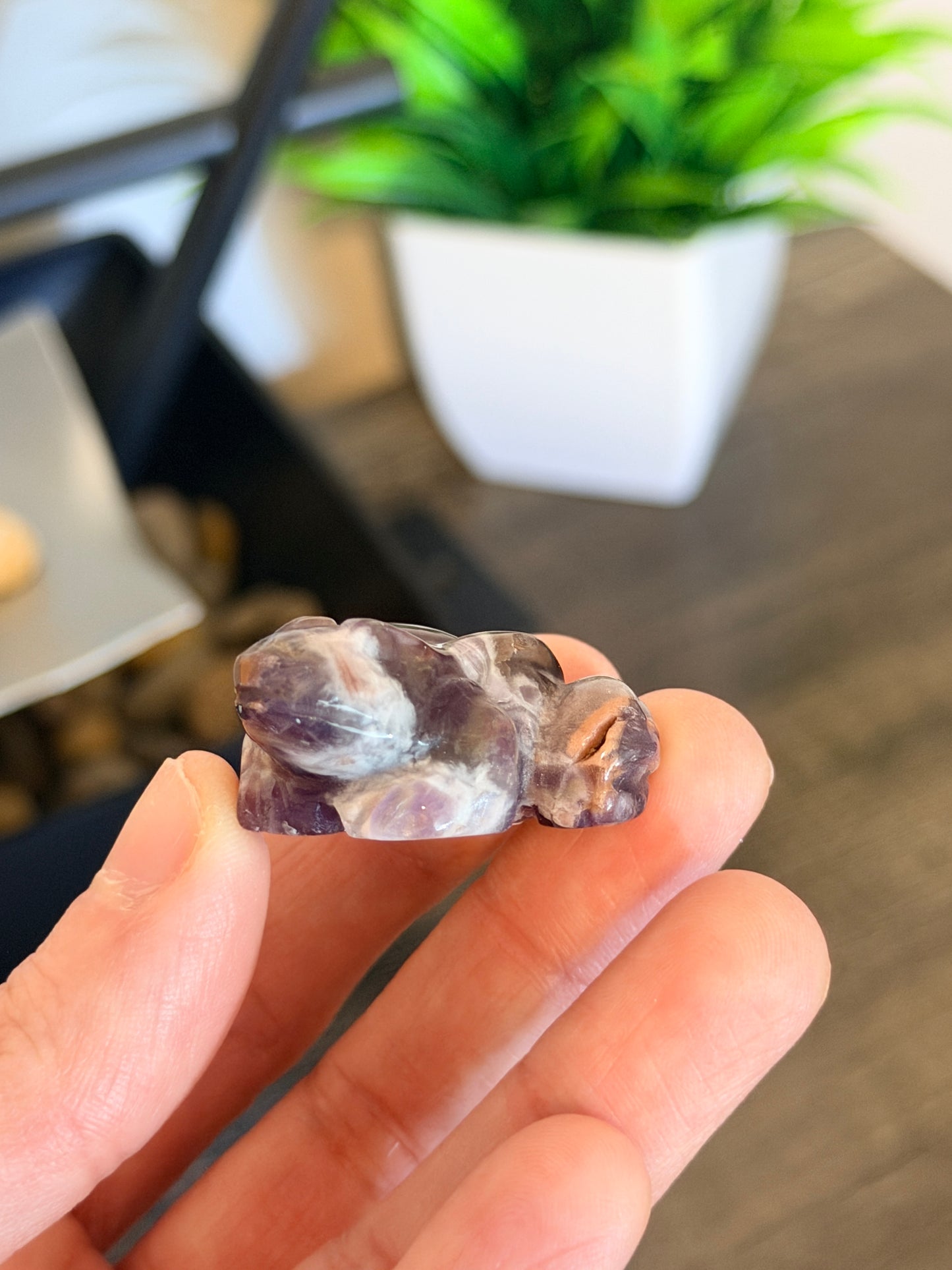 Chevron Amethyst Frog