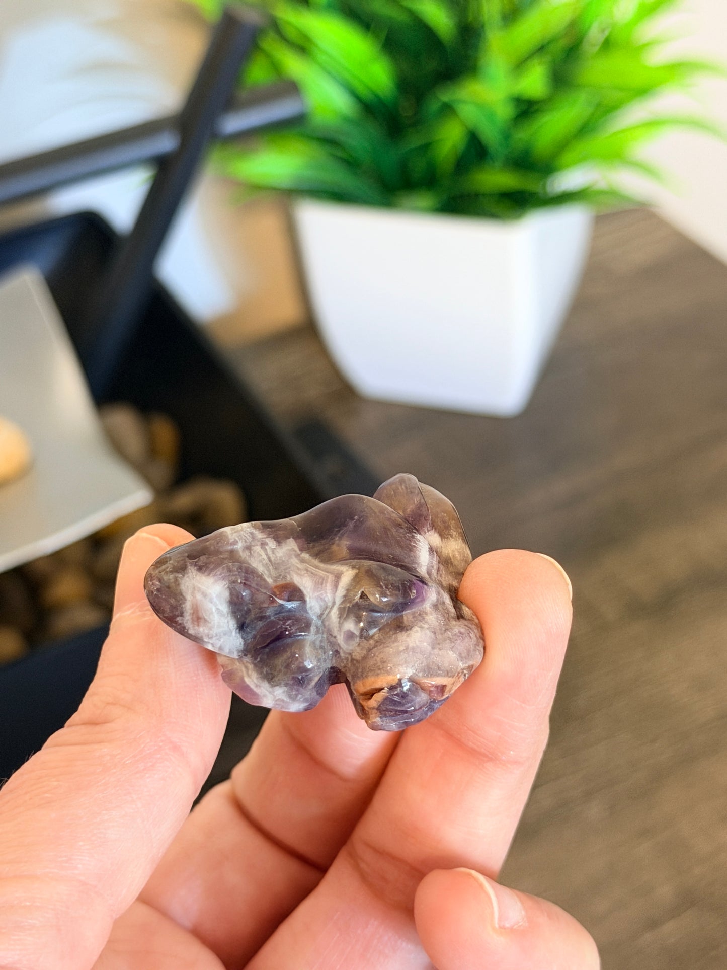 Chevron Amethyst Frog