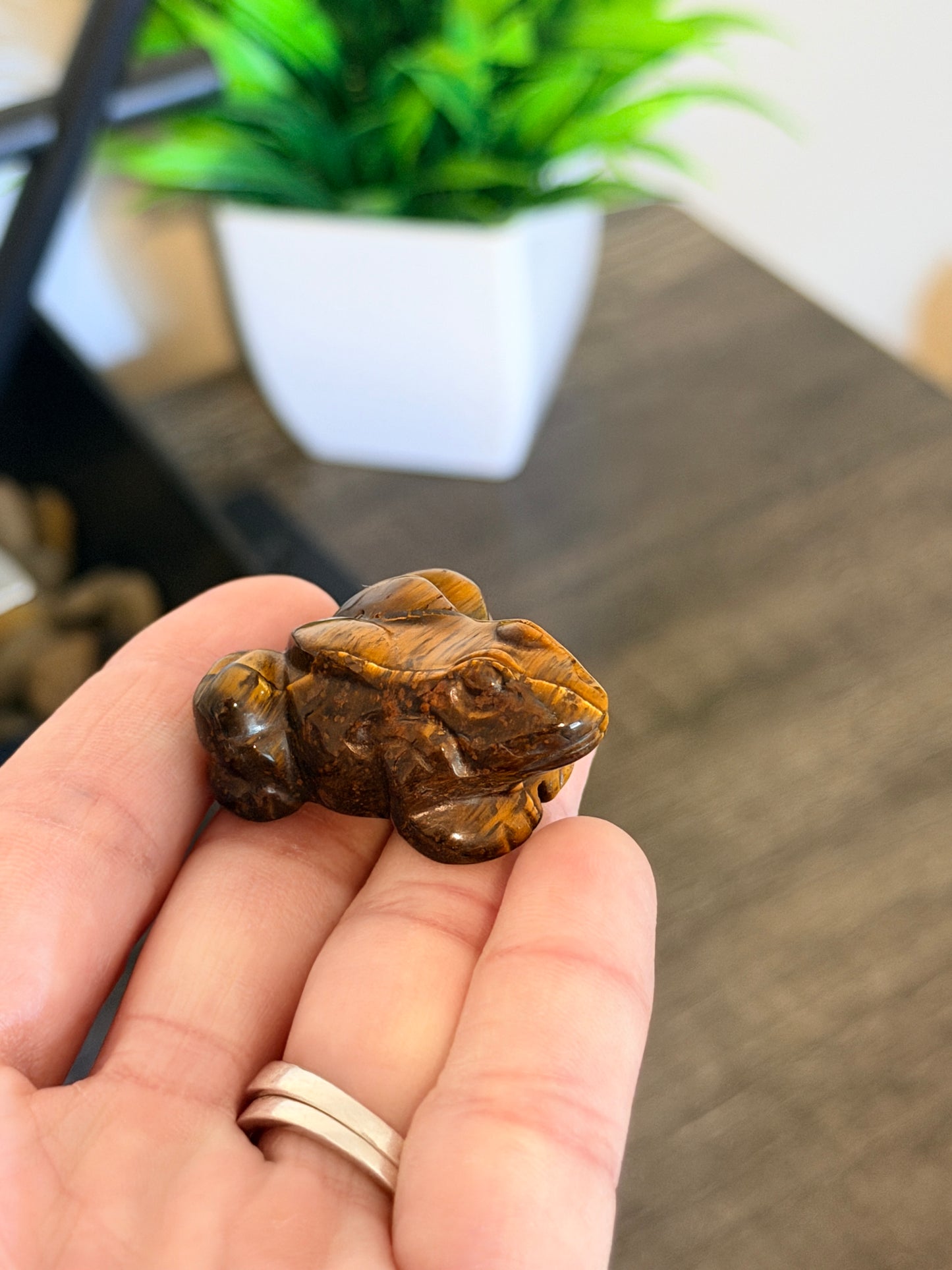 Tiger's Eye Frog