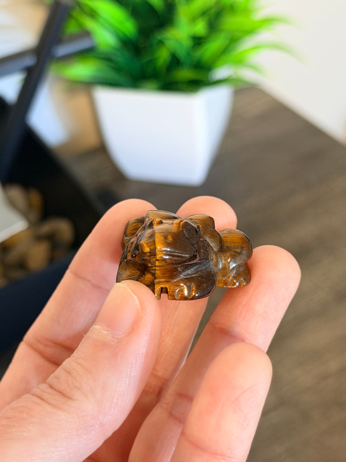 Tiger's Eye Frog