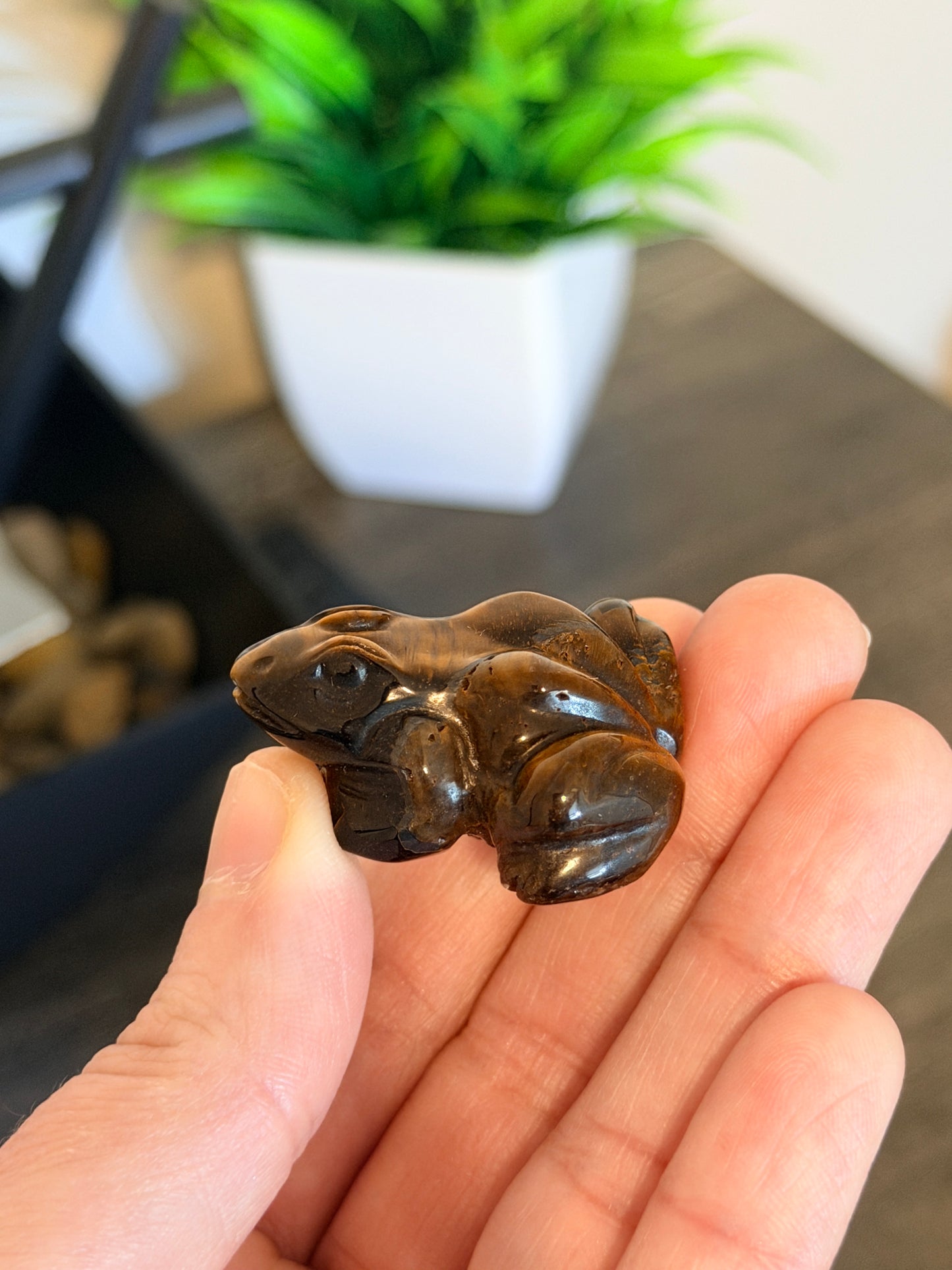 Tiger's Eye Frog