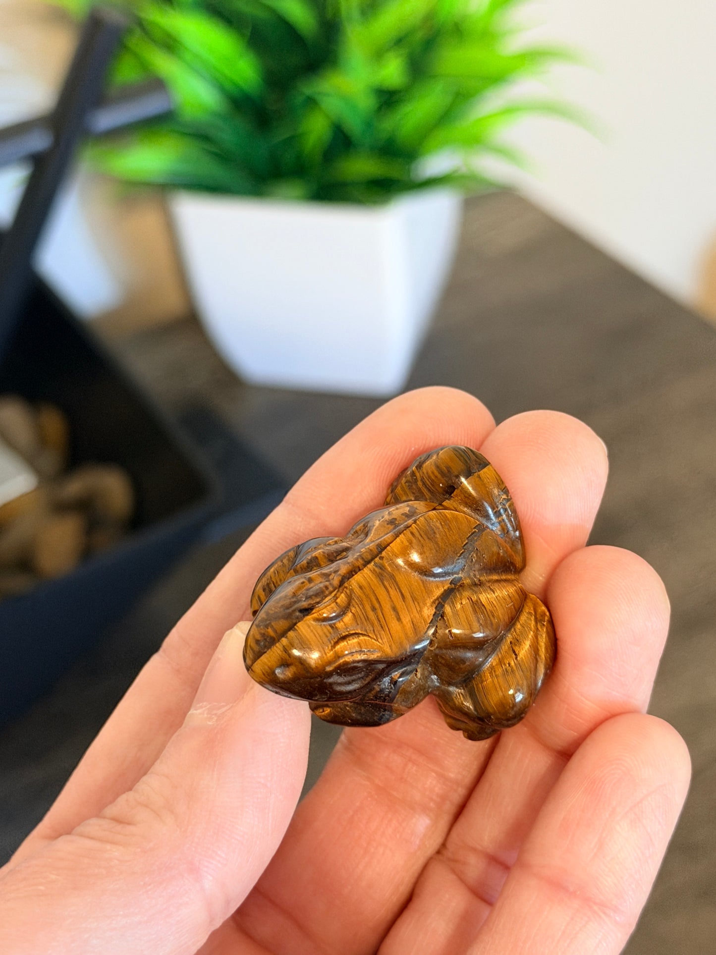 Tiger's Eye Frog