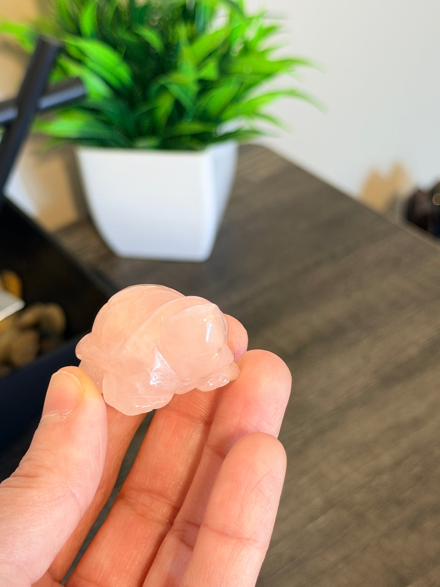 Rose Quartz Turtle Style 1