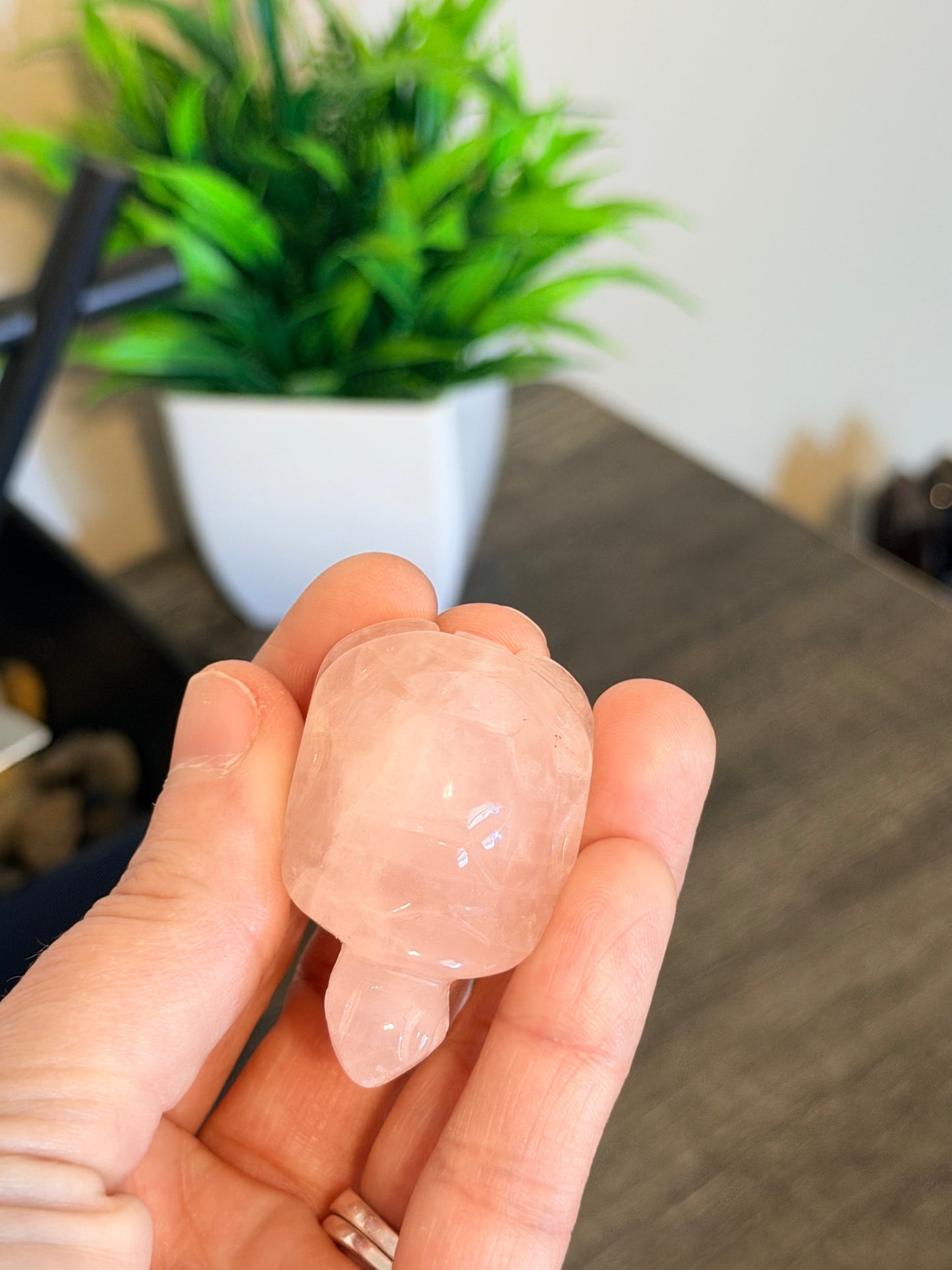 Rose Quartz Turtle Style 1