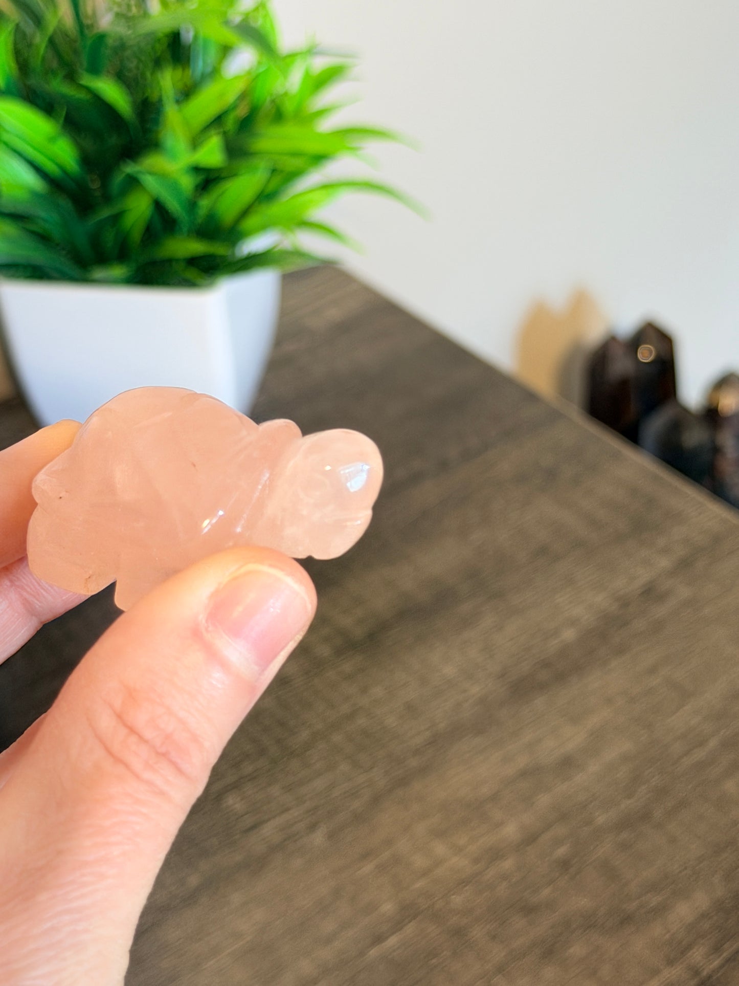Rose Quartz Turtle Style 2
