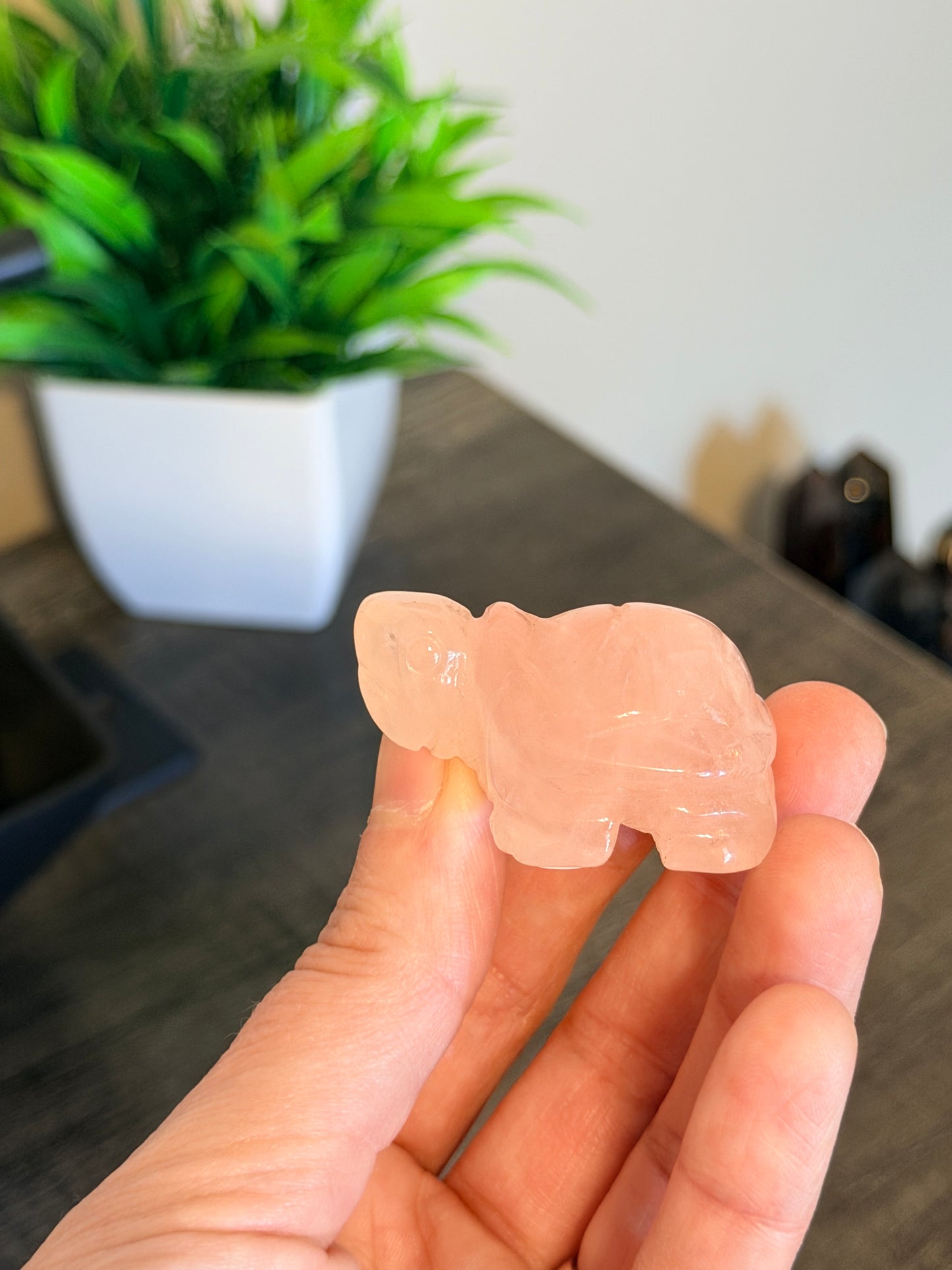 Rose Quartz Turtle Style 2
