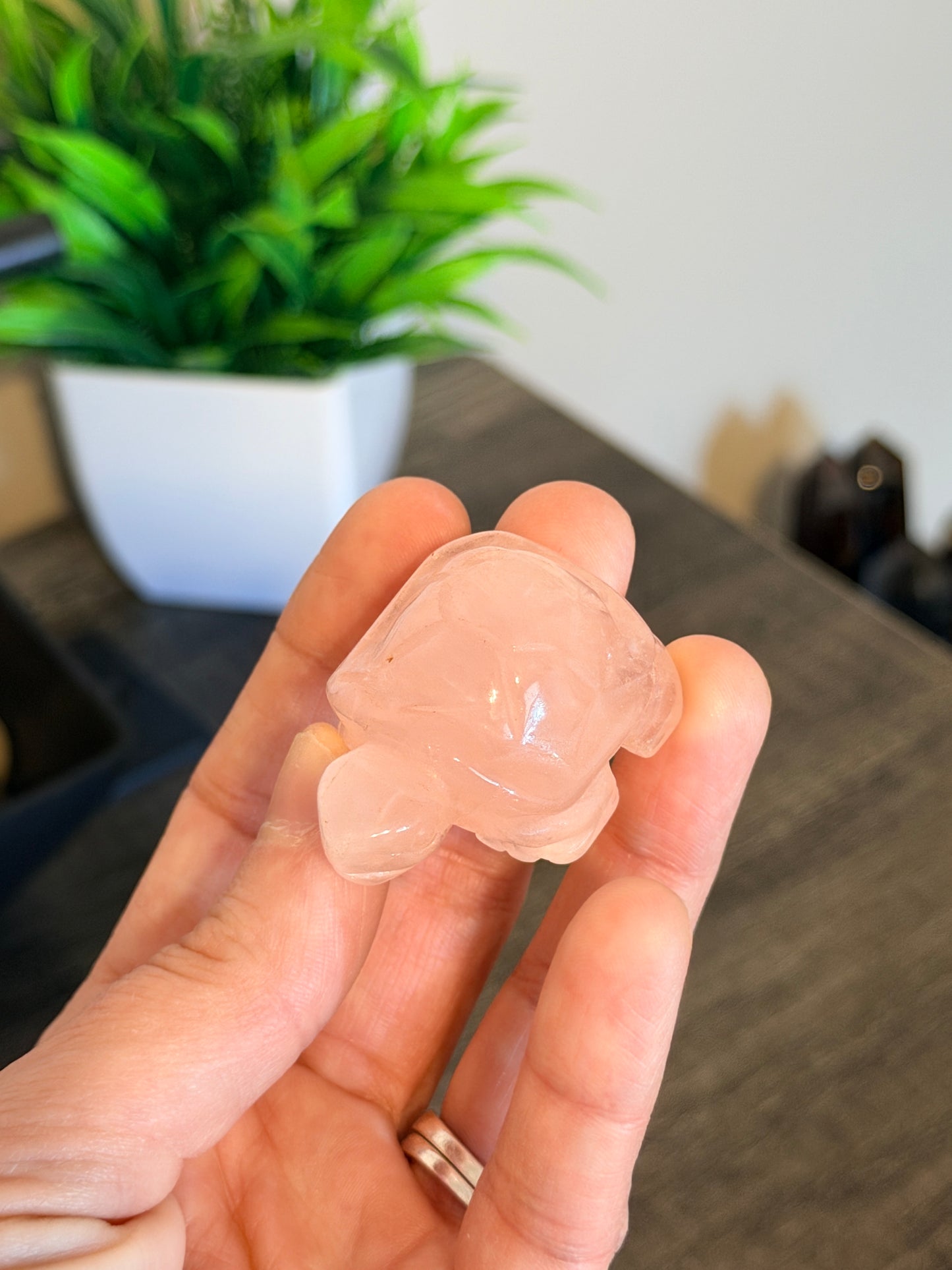 Rose Quartz Turtle Style 2