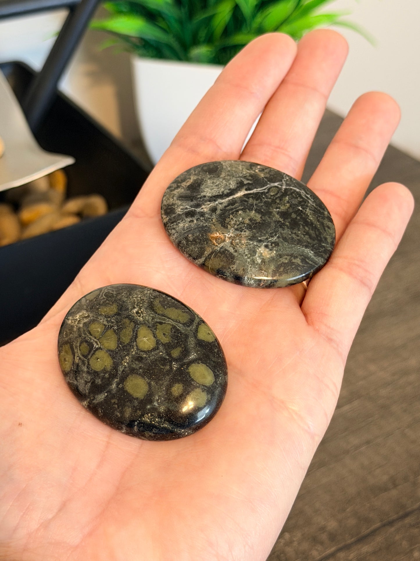 Kambaba Jasper Worry Stone