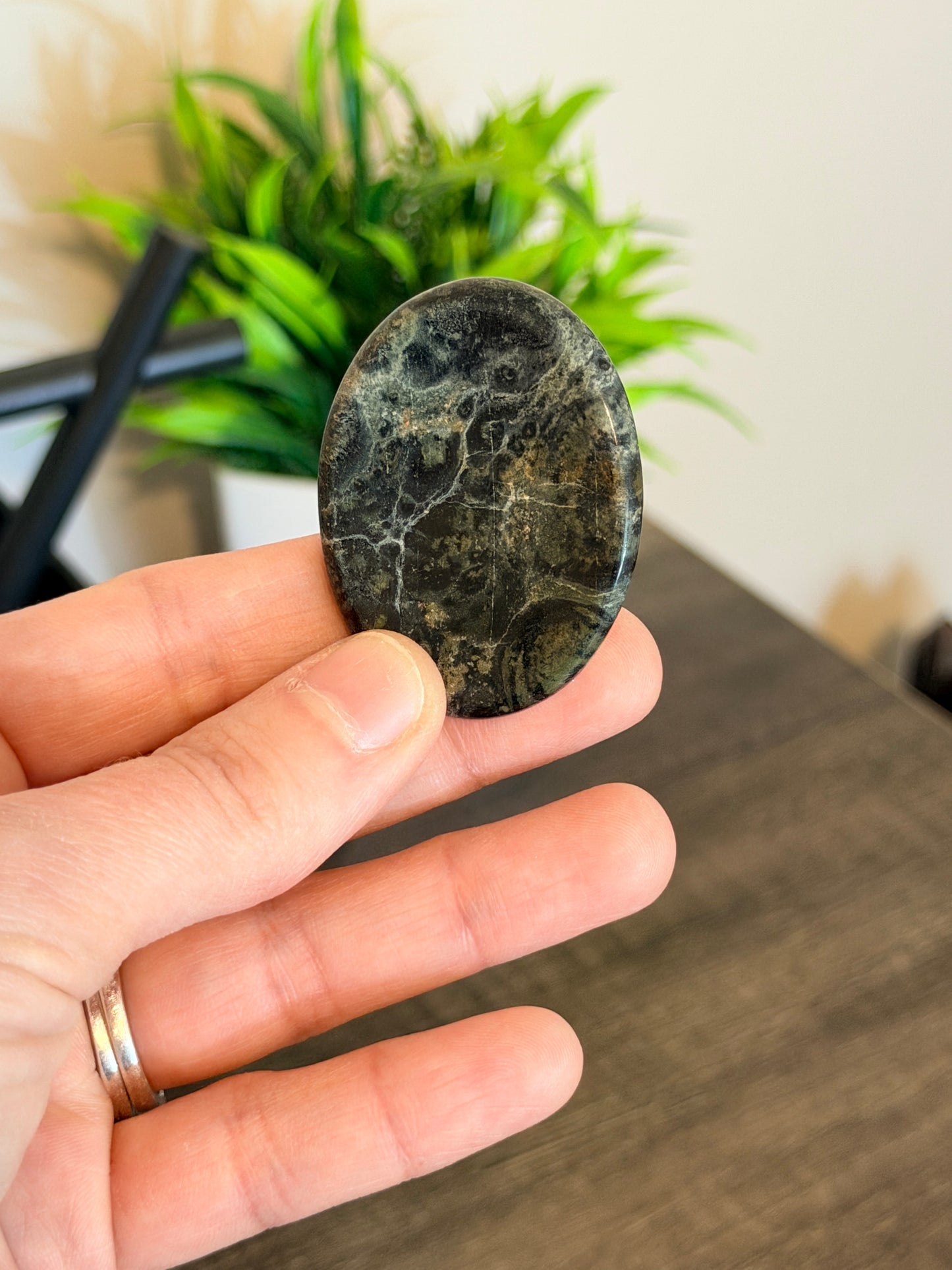 Kambaba Jasper Worry Stone