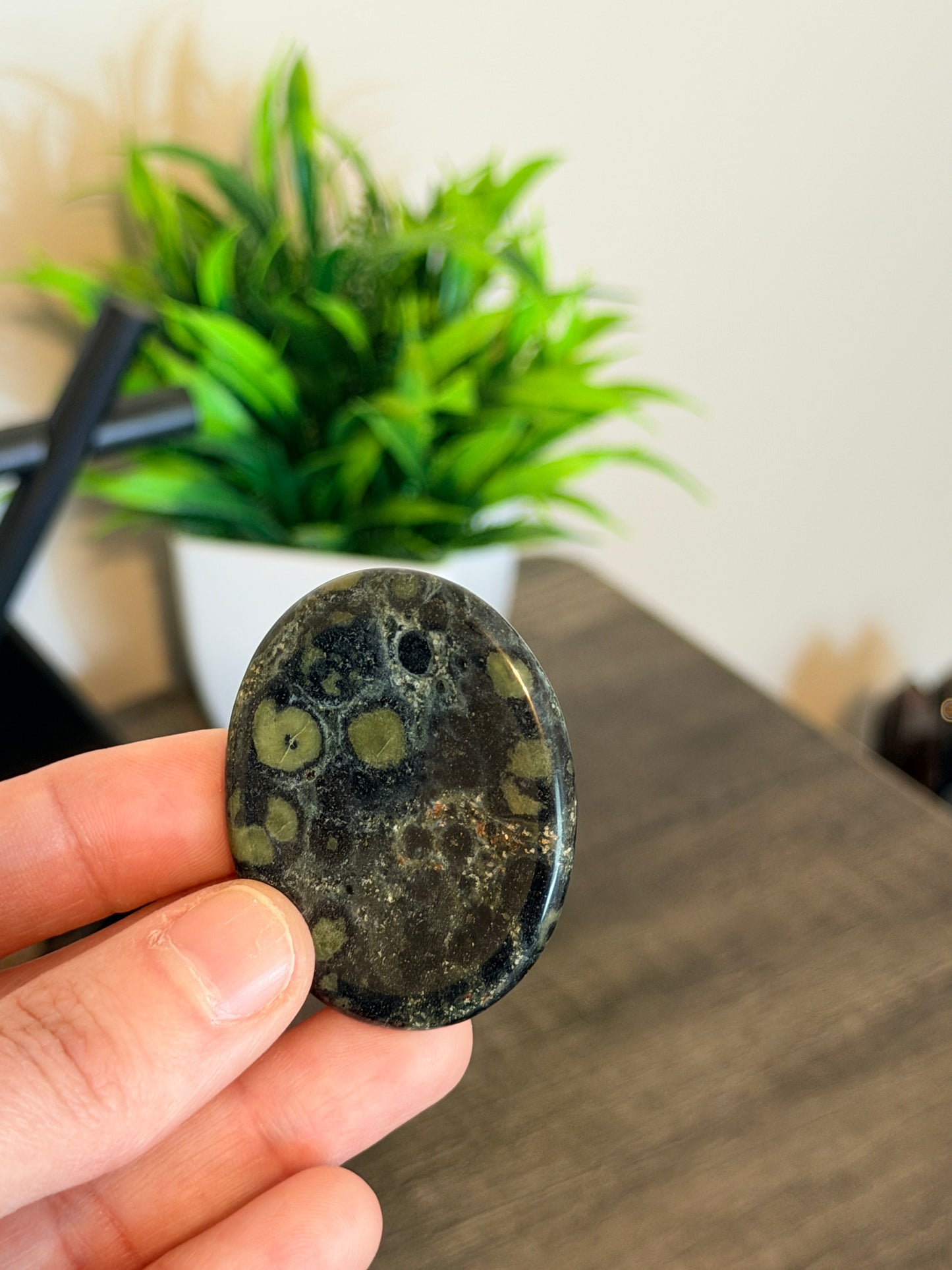 Kambaba Jasper Worry Stone