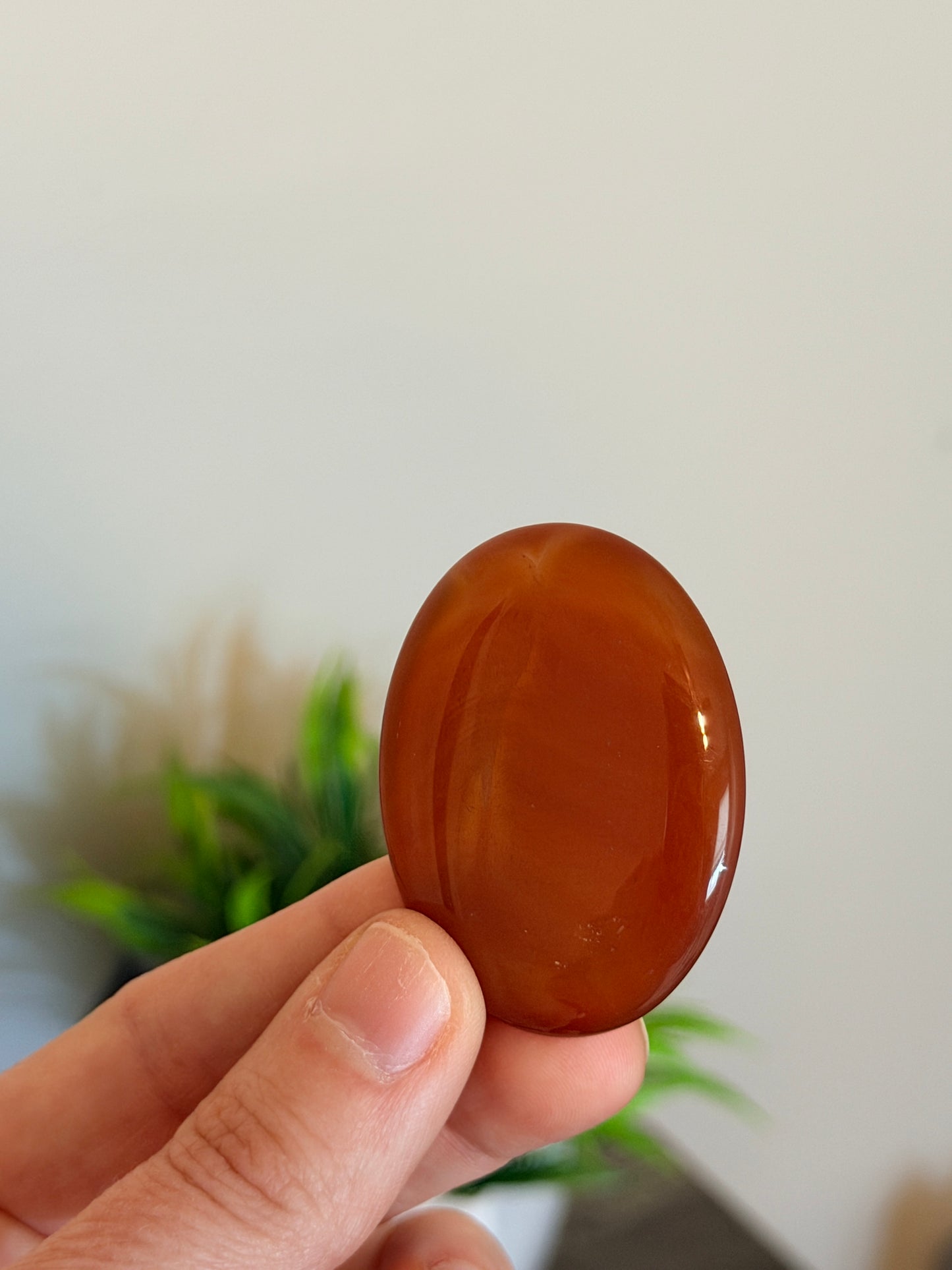 Carnelian Worry Stone
