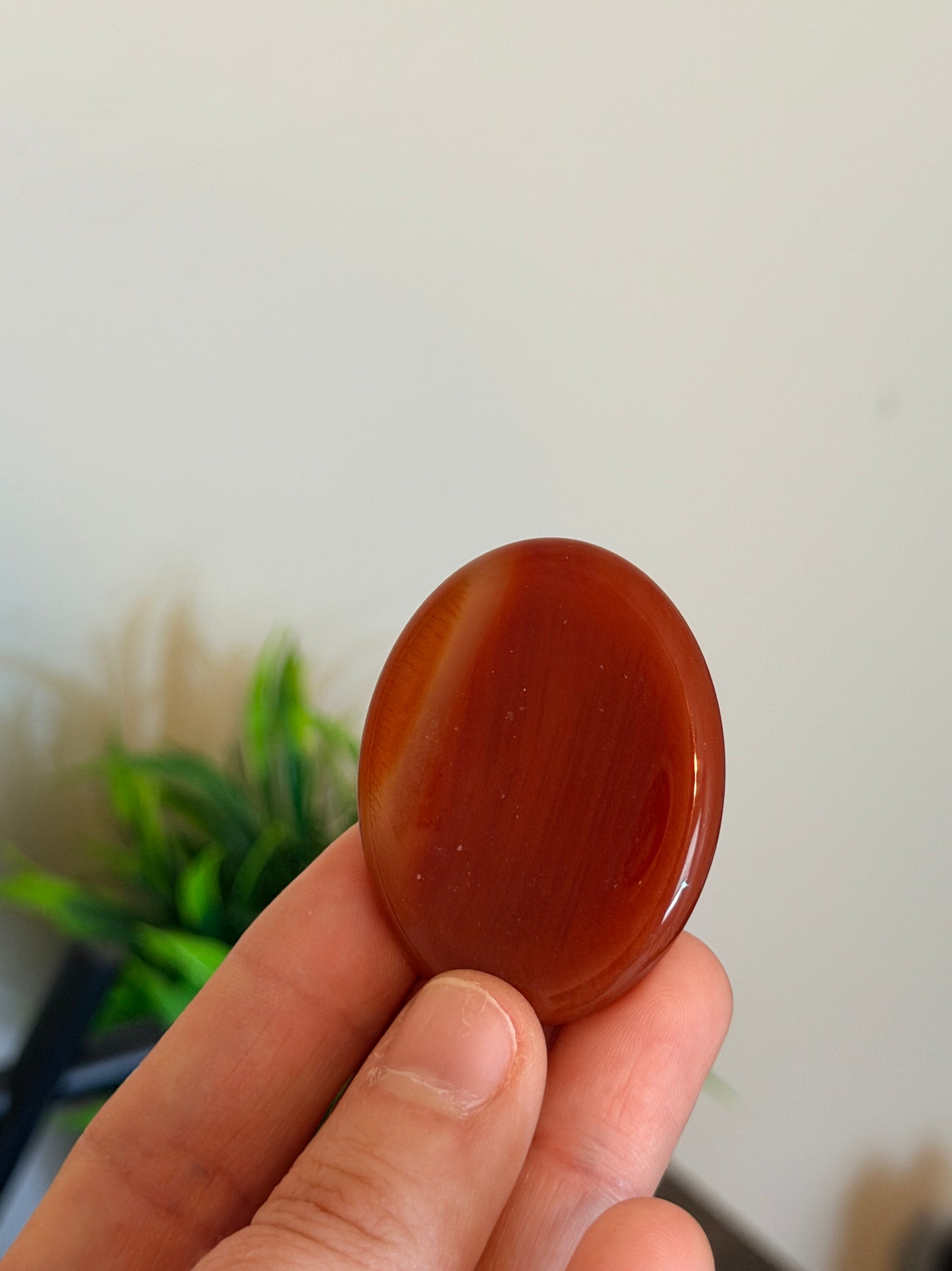 Carnelian Worry Stone
