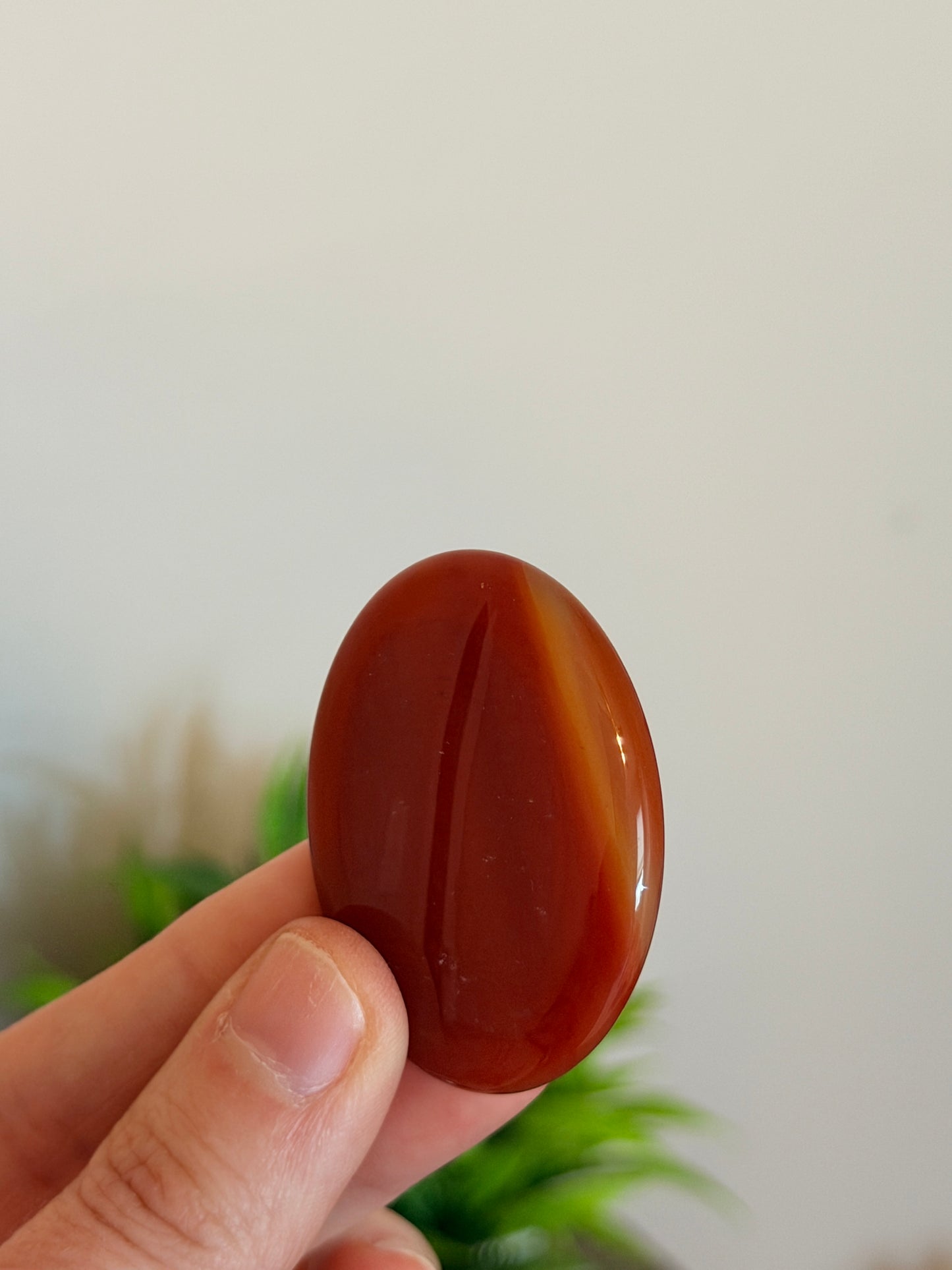Carnelian Worry Stone