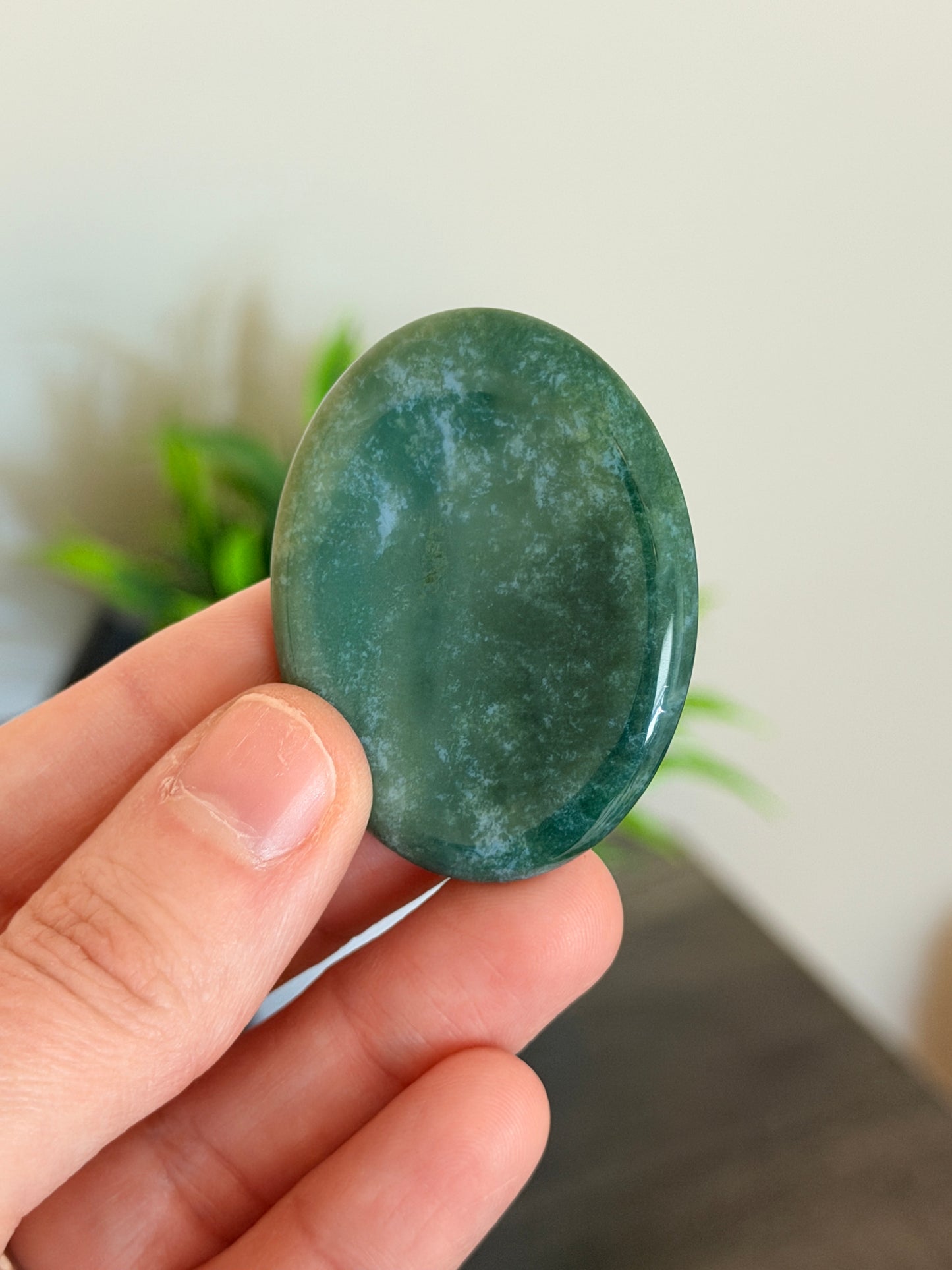 Moss Agate Worry Stone