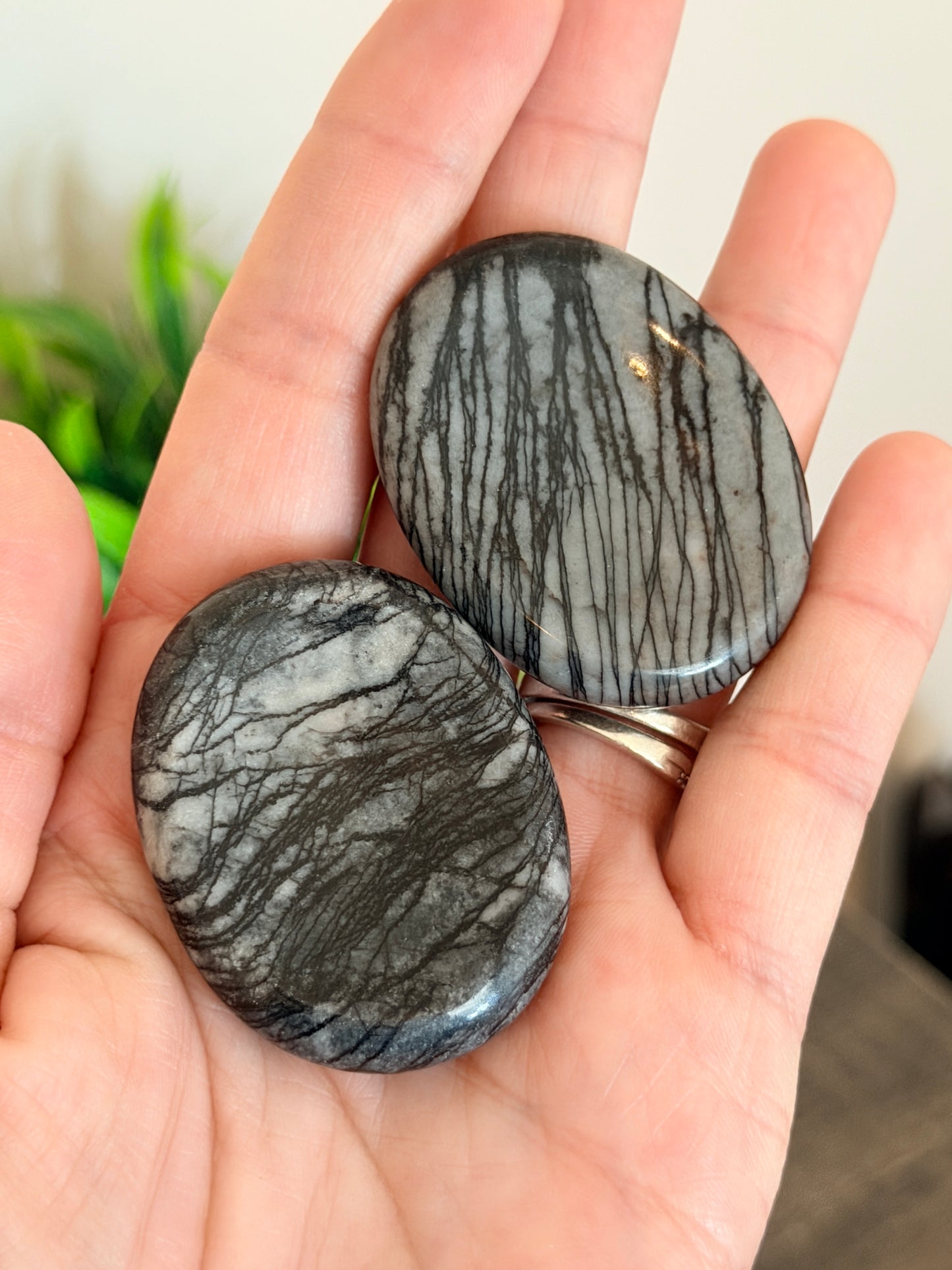 Spiderweb Jasper Worry Stone