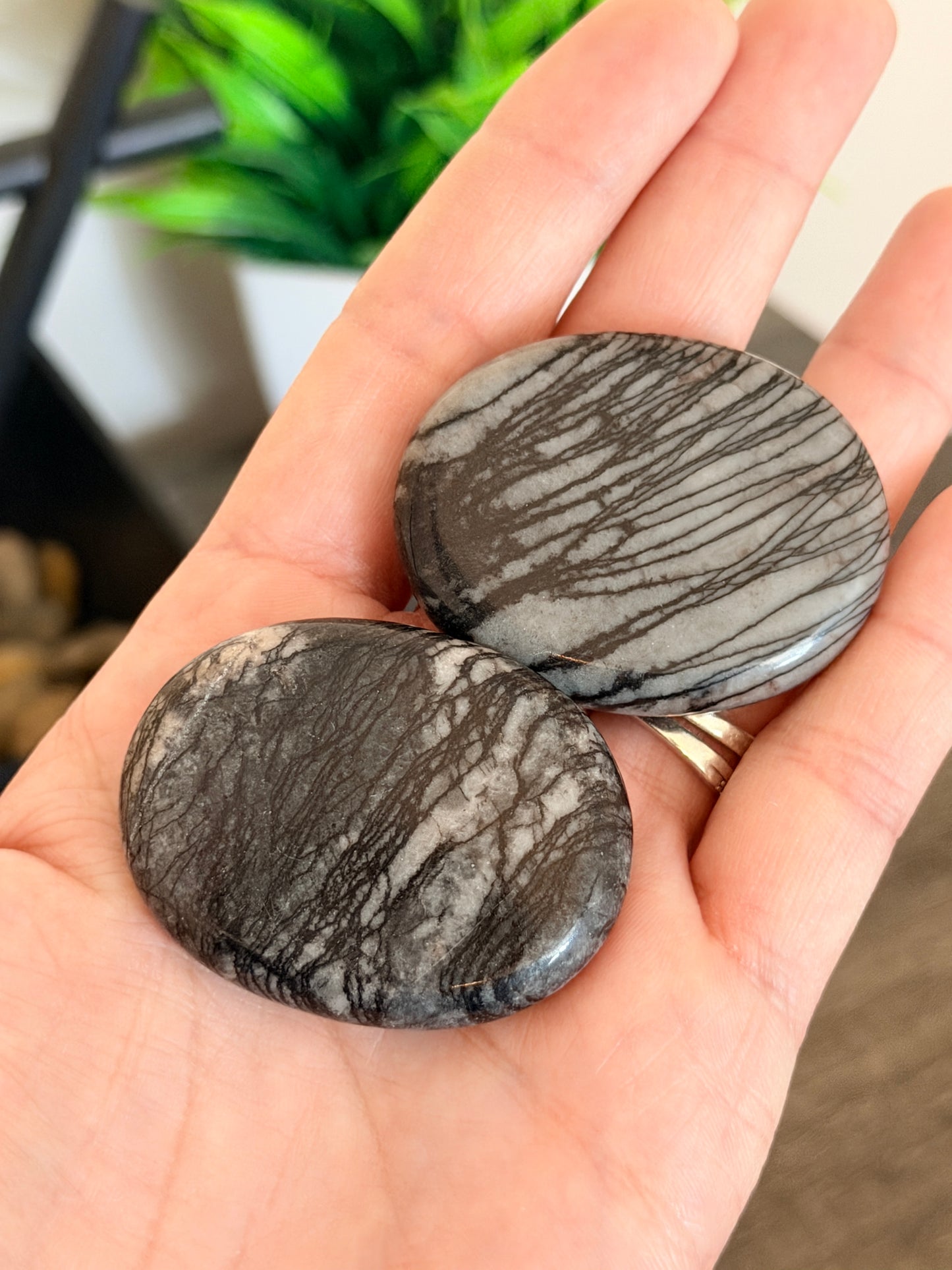 Spiderweb Jasper Worry Stone
