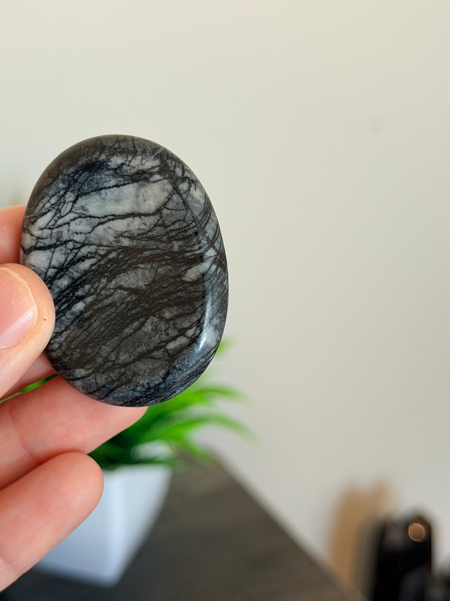 Spiderweb Jasper Worry Stone