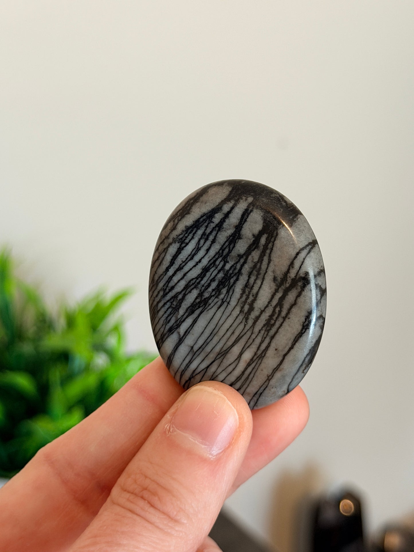 Spiderweb Jasper Worry Stone