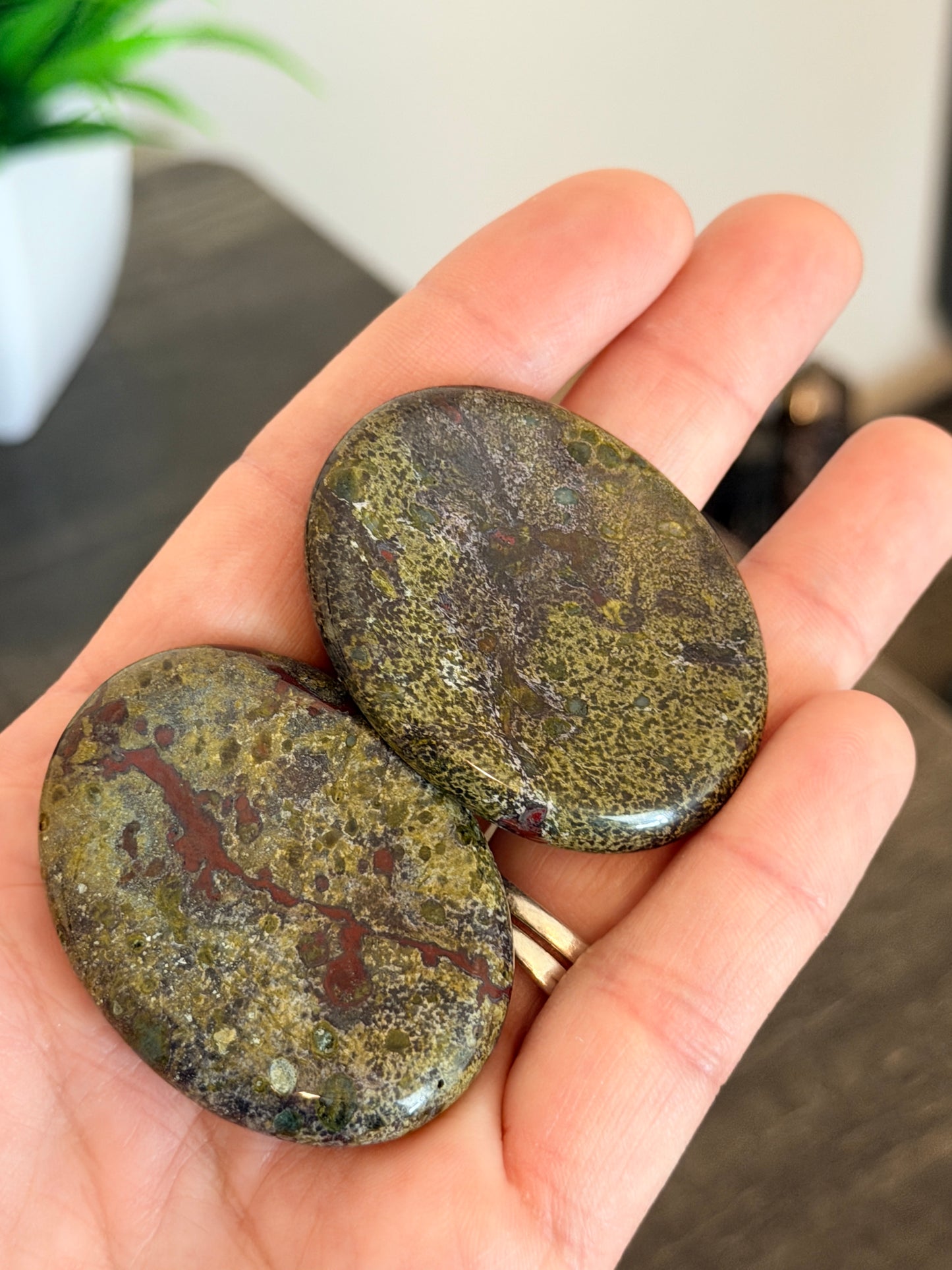 Rough Dragon's Bloodstone Worry Stone