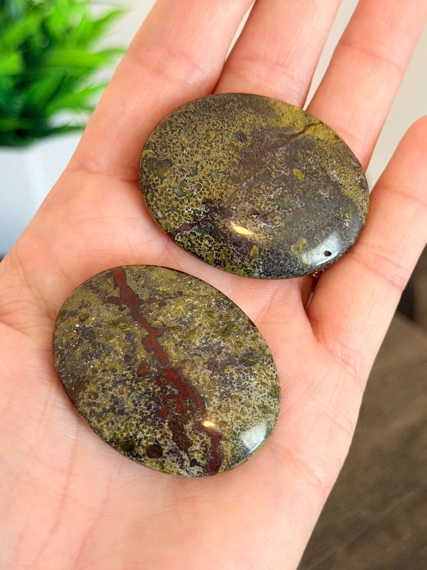 Rough Dragon's Bloodstone Worry Stone