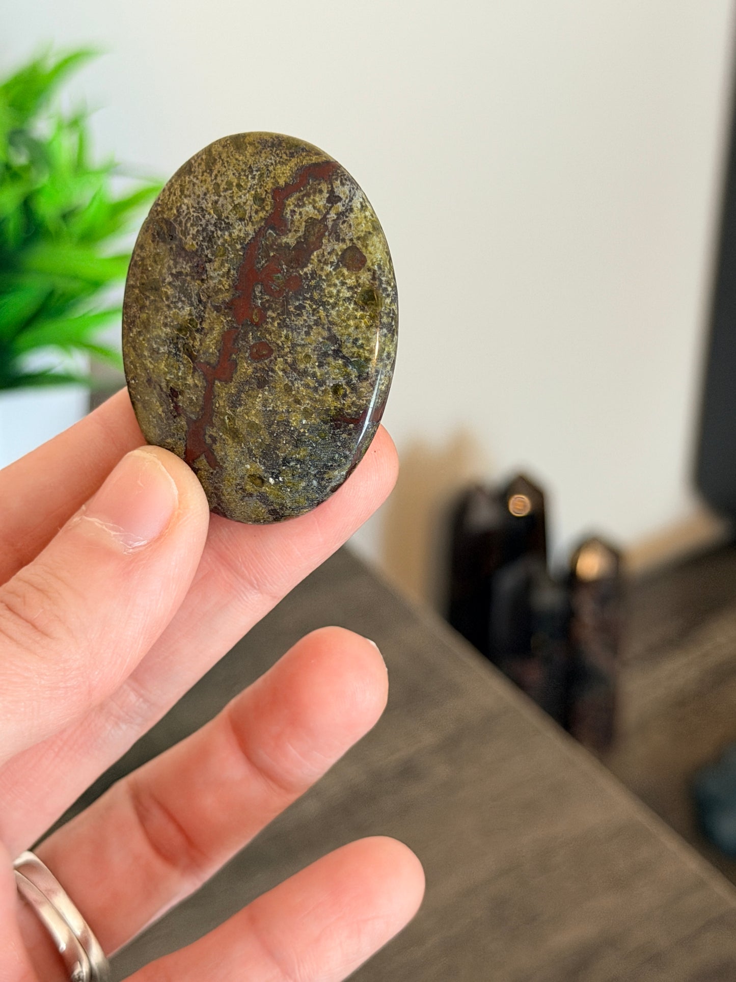 Rough Dragon's Bloodstone Worry Stone