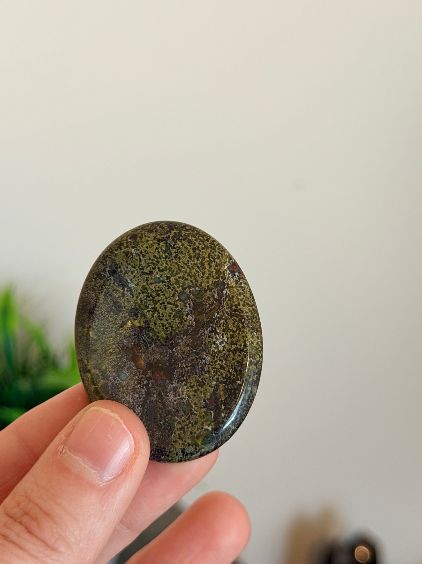 Rough Dragon's Bloodstone Worry Stone